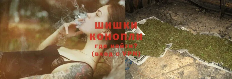 где купить наркотик  Ливны  Марихуана сатива 